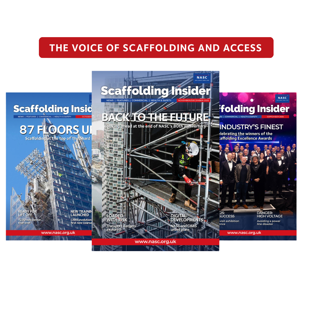 edited-photo-Scaffolding insider.png